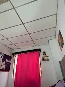 Isa222