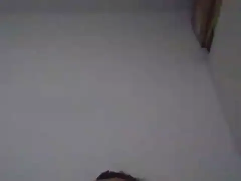 FallenDevil