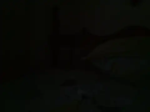 bbccol1 live cam preview
