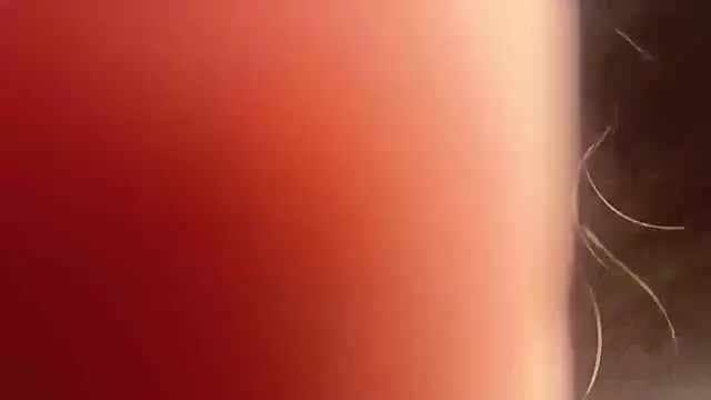 MissEvelynGlow