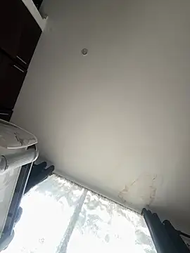 pawmistry live cam preview