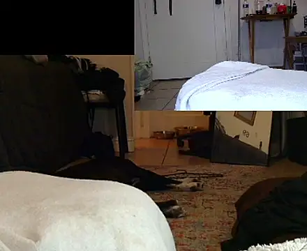 TheRealMrDLlong