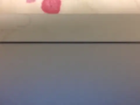 wendysmall