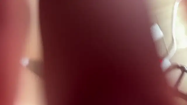 Nyx_Savage