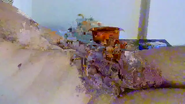Renegade1608 webcam