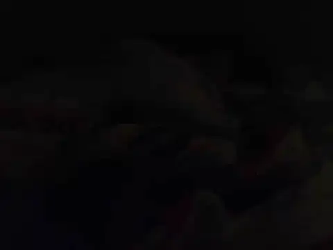k-dong live cam on StripChat