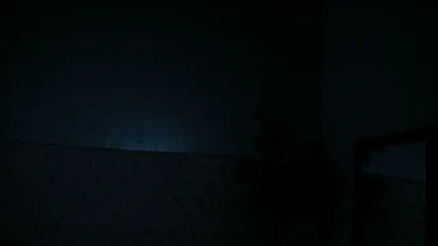 Victoria_Coleman webcam