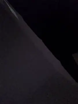 Adam19cmBrunet