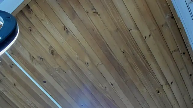 sasha_voss1