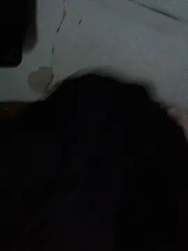 AlfredoKaizer24