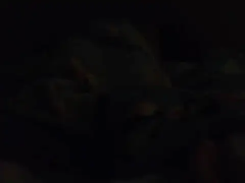 k-dong