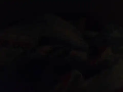k-dong live cam preview