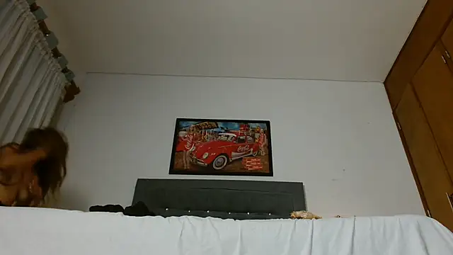 3littles webcam