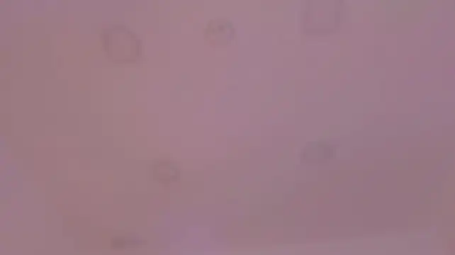 kaylarossi