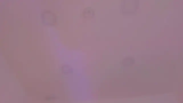 kaylarossi