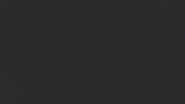 IIv0ryN0IIReX-XX