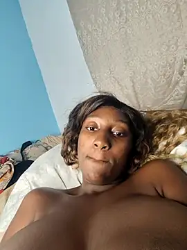 Gata-on-line webcam