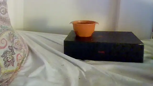 Renegade1608 live cam preview
