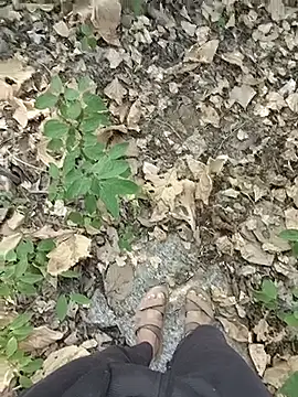 Forest_lover24