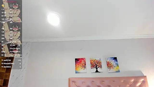 camii_raux live cam preview