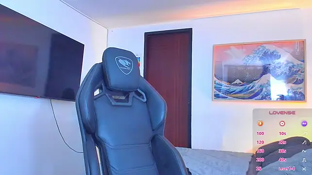 RJBarto webcam