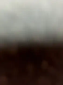 Honeylust26