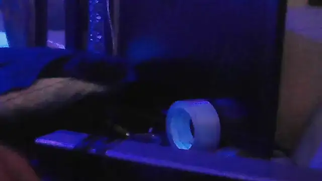 crassanova webcam