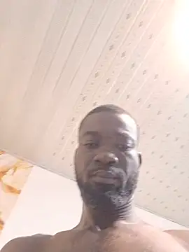 Bulletact live cam on StripChat