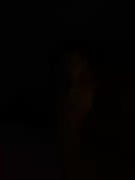 Florensinew1