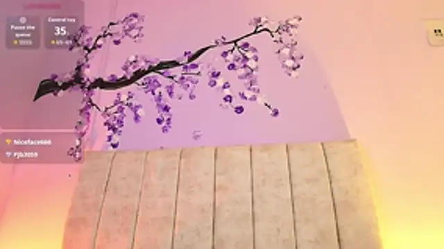 Nikirouse live cam preview
