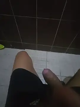 DanVs live cam preview