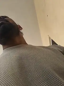 snadycam