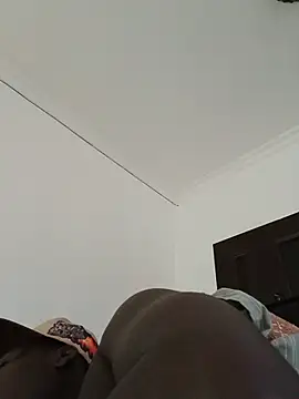 Champdawg247