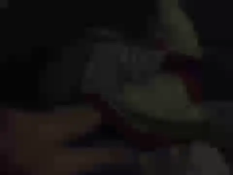 k-dong