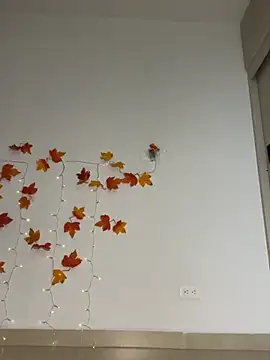 persephone___ live cam preview