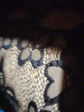 capri_escue live cam preview