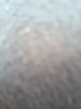LunaMood live cam preview