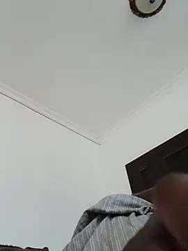 Champdawg247 live cam preview