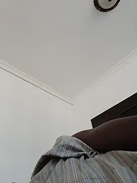 Champdawg247