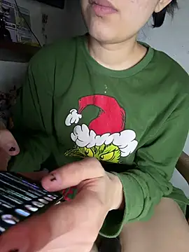 Lylixa webcam