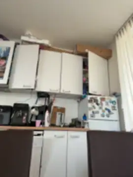 kotkite live cam preview