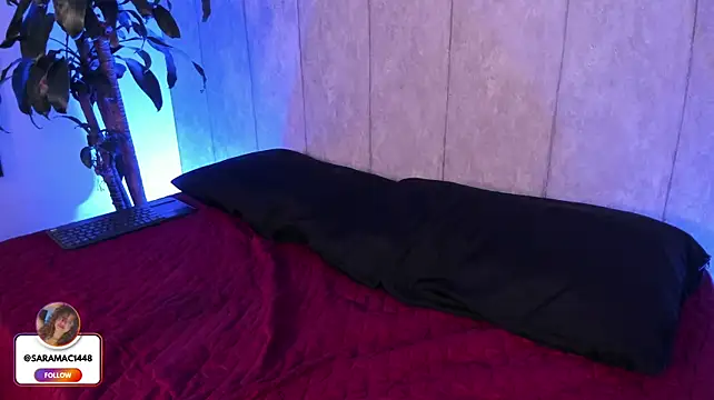 cinnadol live cam preview
