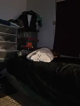 bimexpoexist