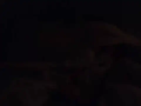 k-dong