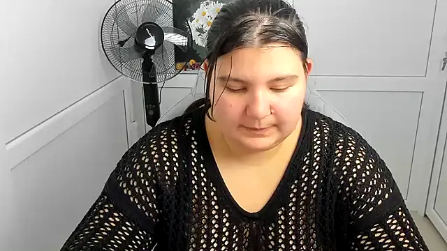 PhoenixFly webcam