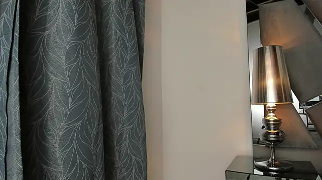 KENNY_HANK live cam preview