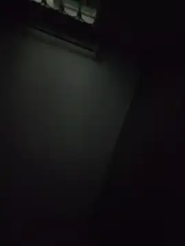 Tokyo_petit live cam preview
