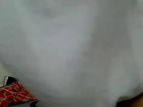 Swt_vixen