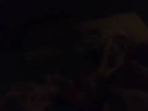 k-dong