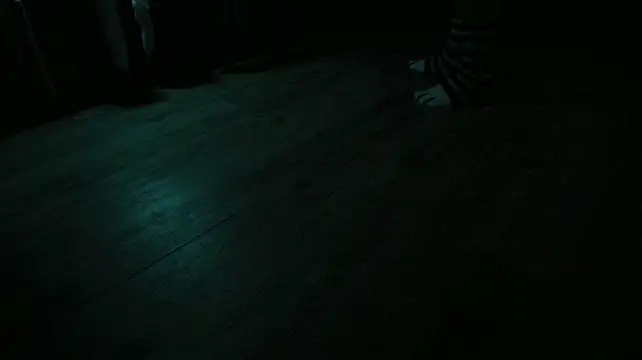 molicaremolicare live cam preview